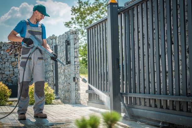 Best Graffiti Removal  in Paloma Creek South, TX